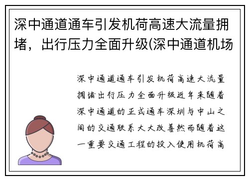 深中通道通车引发机荷高速大流量拥堵，出行压力全面升级(深中通道机场互通规划图)