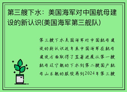 第三艘下水：美国海军对中国航母建设的新认识(美国海军第三舰队)
